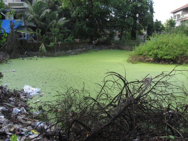 Vasai