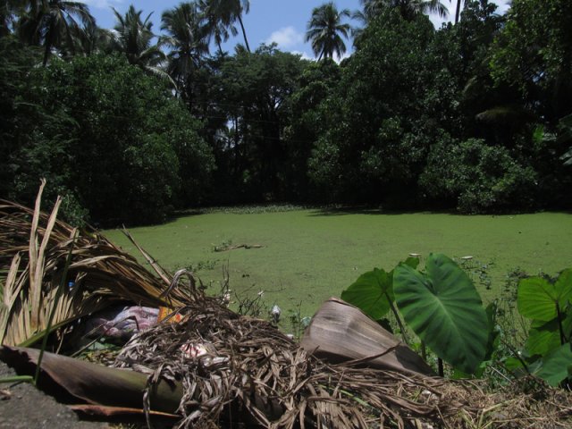 Vasai