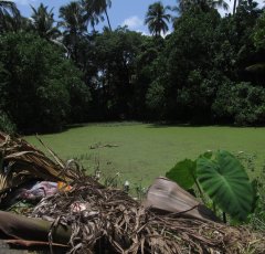 Vasai