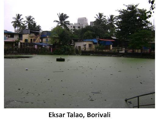 Water Bodies